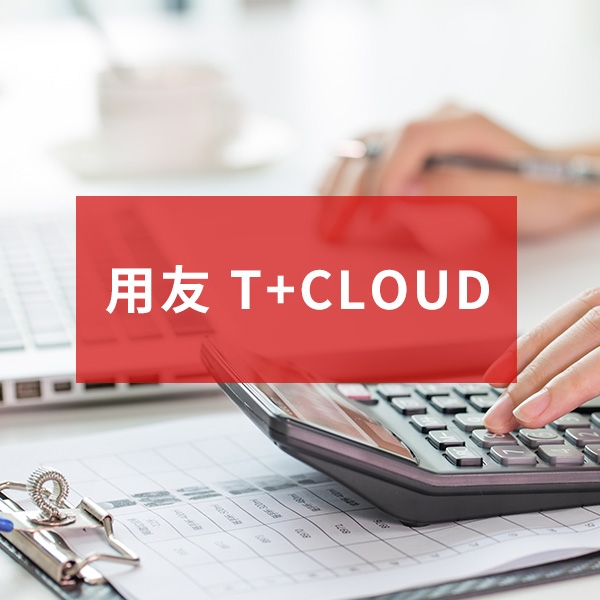 海西用友 T+Cloud